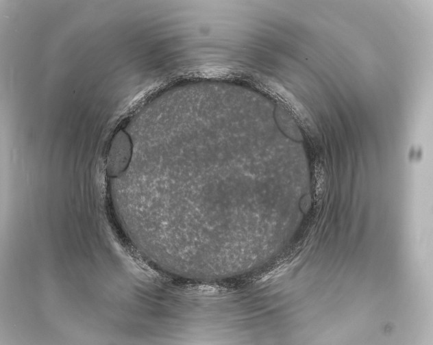 X0000093760542200711131151