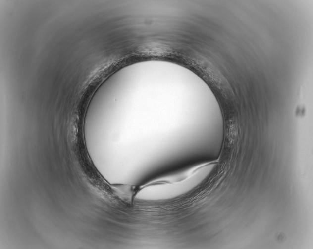 X0000093760544200711131151