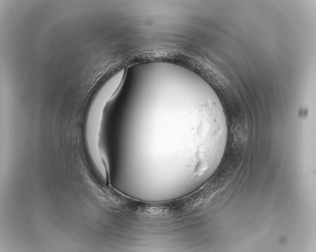 X0000093760546200711131151