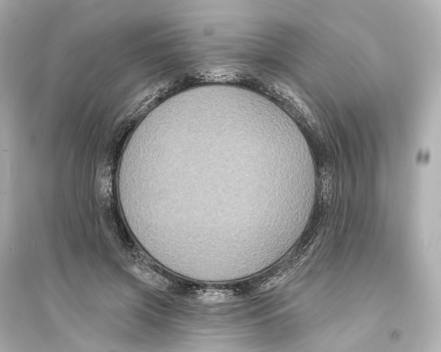 X0000093760549200711131151