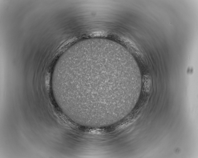 X0000093760550200711131151