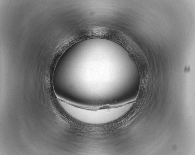 X0000093760552200711131151