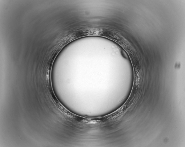 X0000093760553200711131151