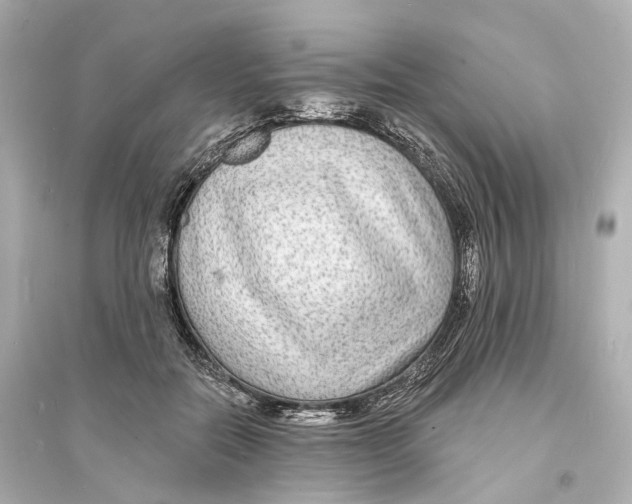 X0000093760554200711131151