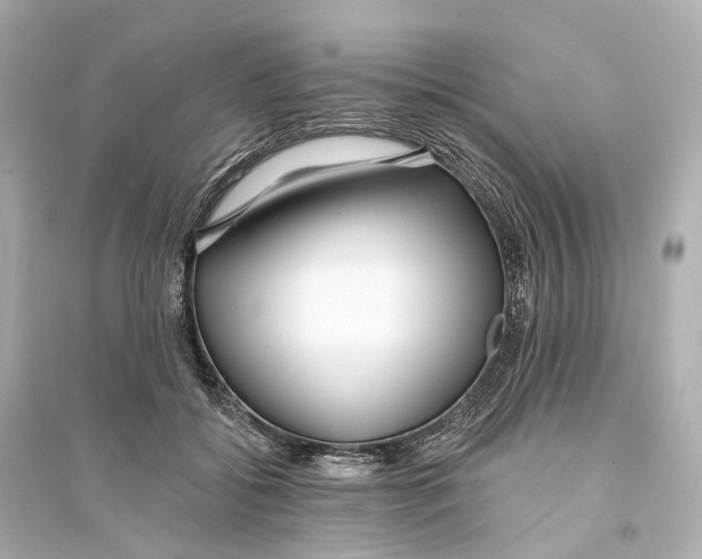 X0000093760556200711131151