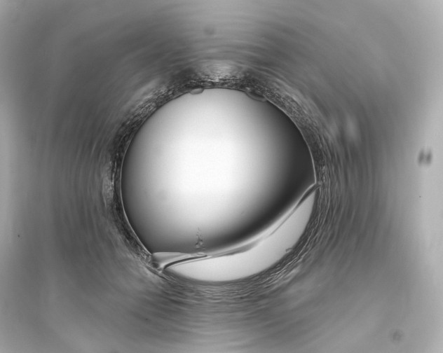 X0000093760558200711131151