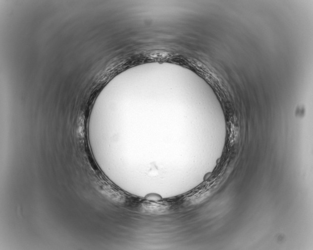 X0000093760561200711131151