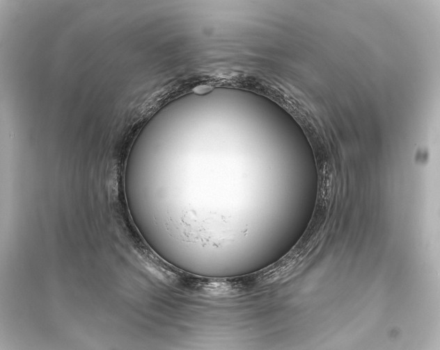 X0000093760562200711131151