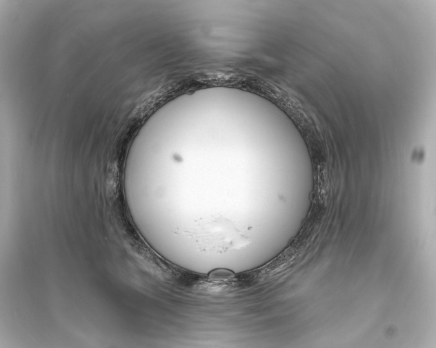 X0000093760563200711131151