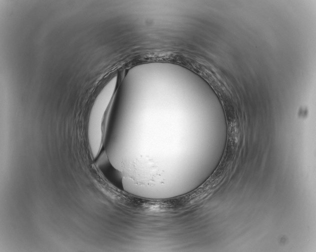 X0000093760564200711131151