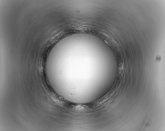 X0000093760566200711131151