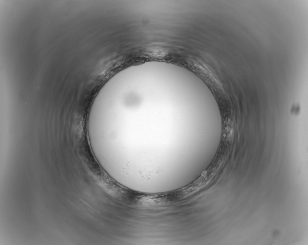 X0000093760568200711131151