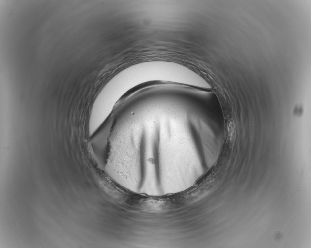 X0000093760570200711131151