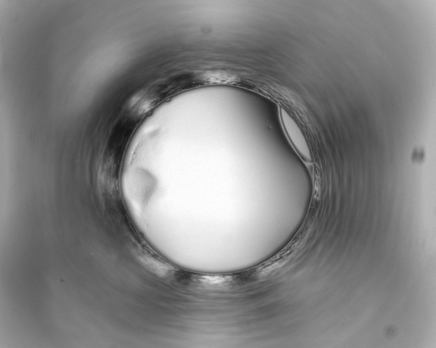 X0000093760573200711131151