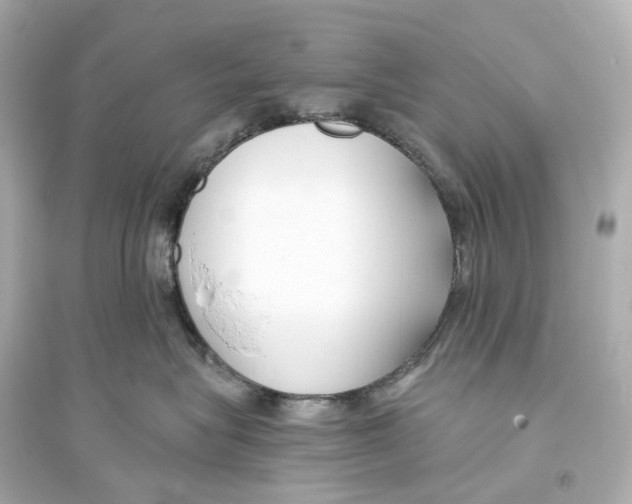 X0000093760575200711131151