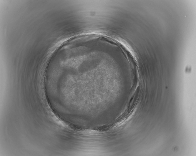 X0000093760577200711131150