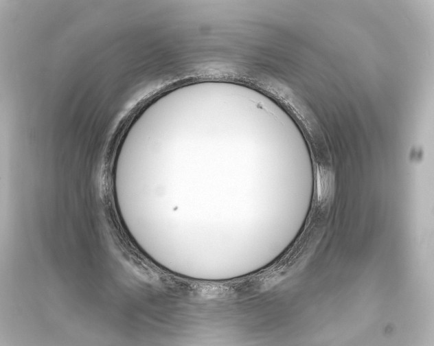 X0000093760579200711131150