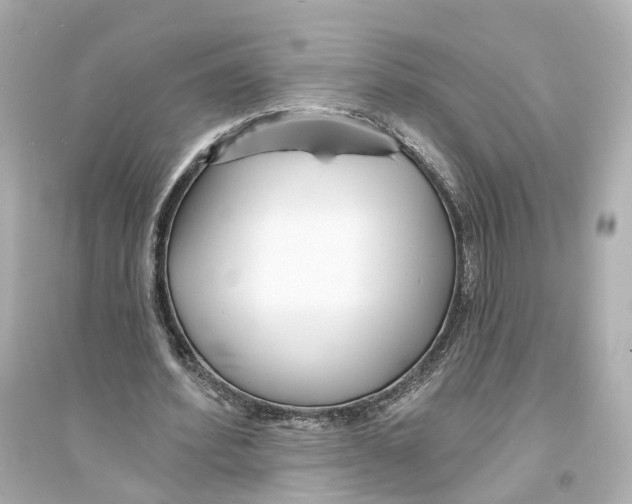 X0000093760580200711131150