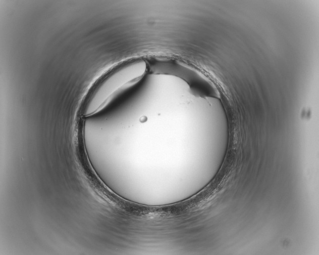 X0000093760584200711131150