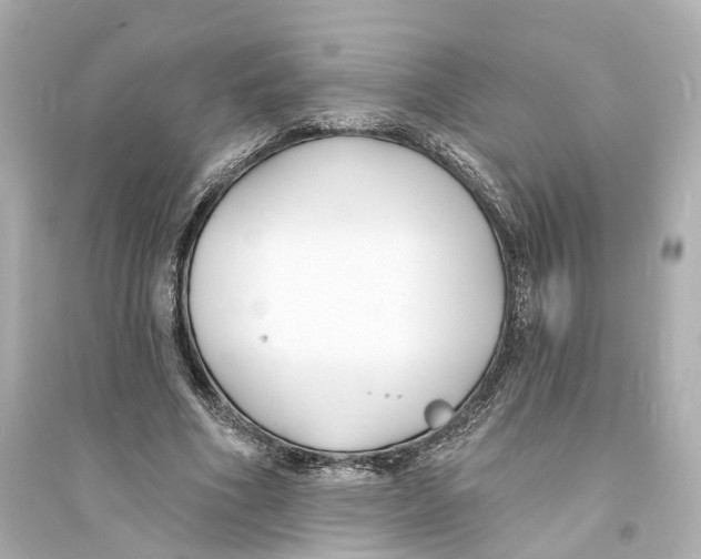 X0000093760586200711131150