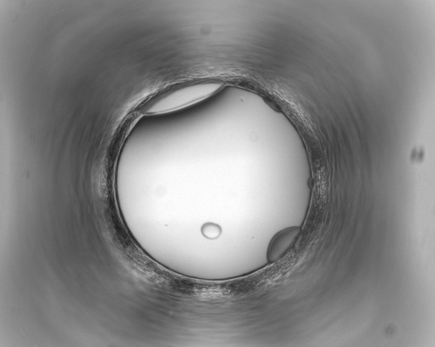 X0000093760587200711131150