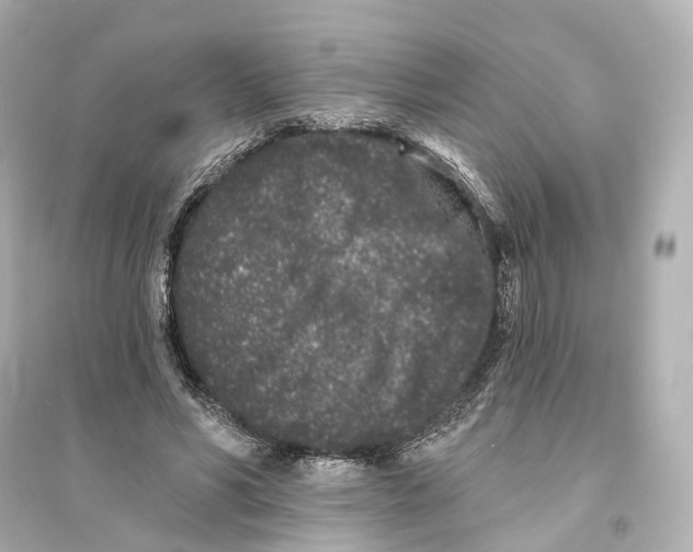 X0000093760590200711131150