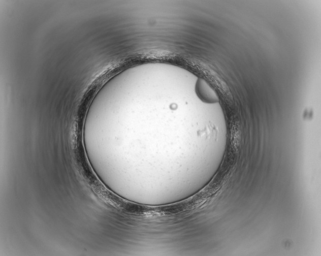 X0000093760591200711131150