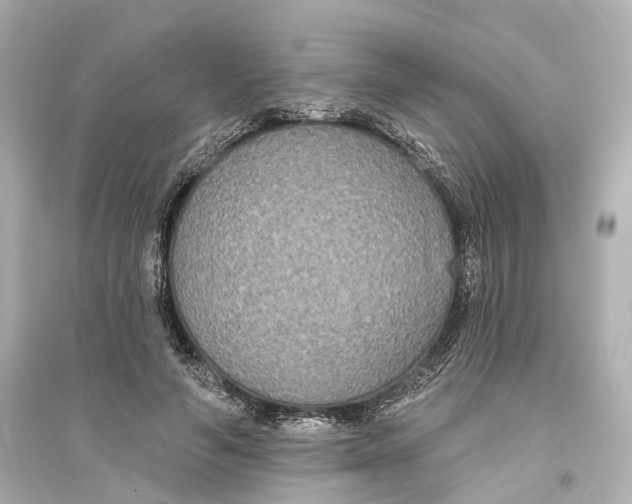 X0000093760594200711131150