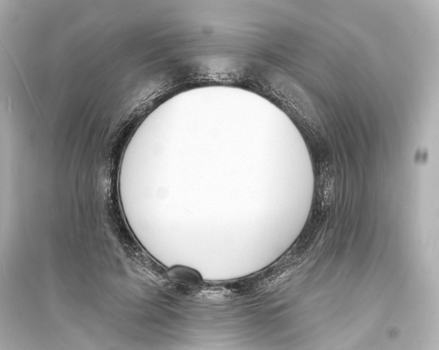 X0000093760595200711131150