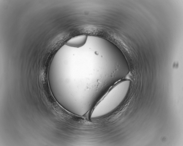 X0000093760597200711131150