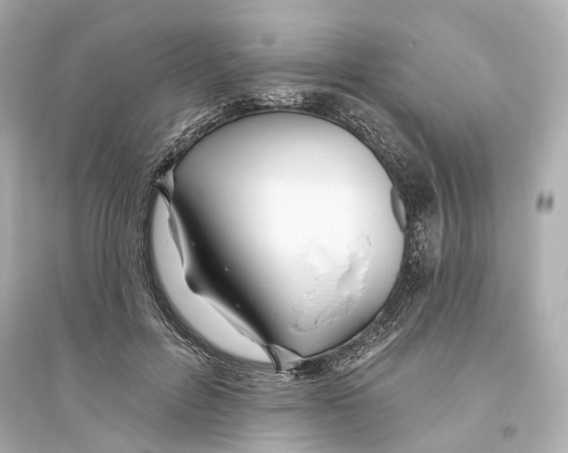 X0000093760600200711131150