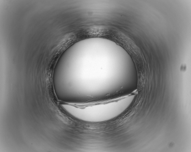 X0000093760601200711131150