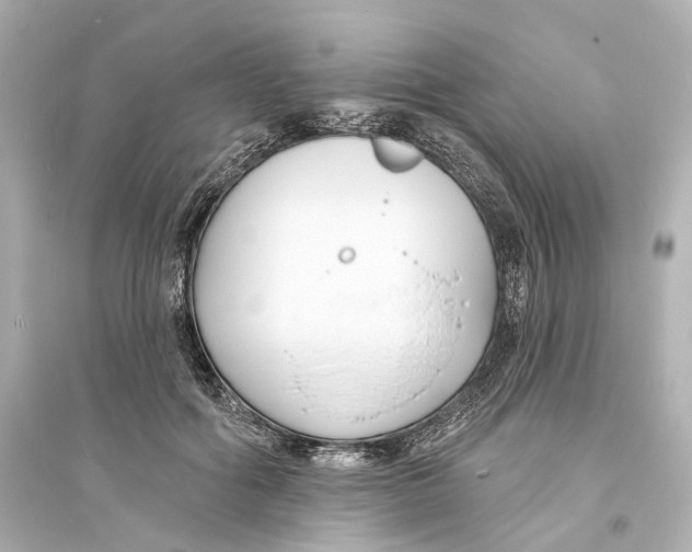 X0000093760602200711131150