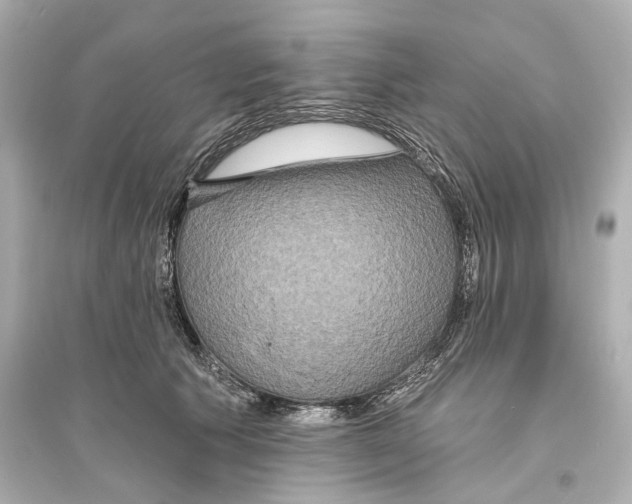 X0000093760609200711131150