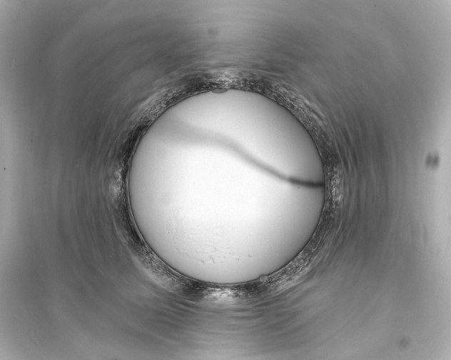 X0000093760611200711131150