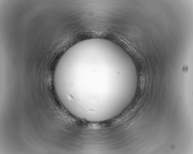 X0000093760613200711131150