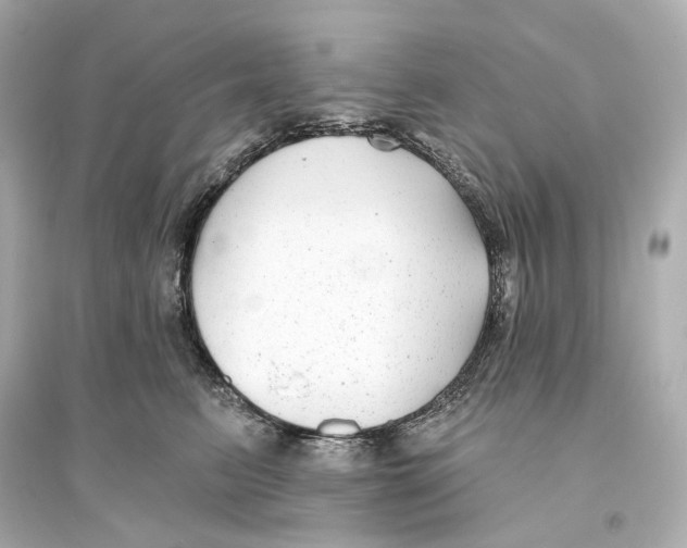 X0000093760615200711131150