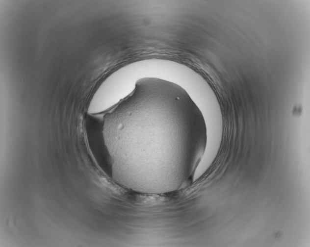 X0000093760621200711131150