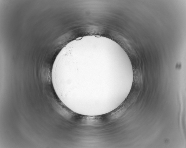 X0000093760622200711131150