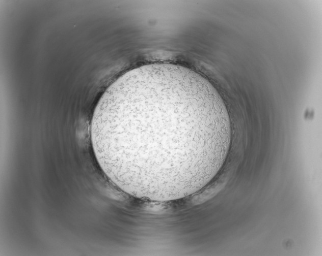 X0000093760624200711131150