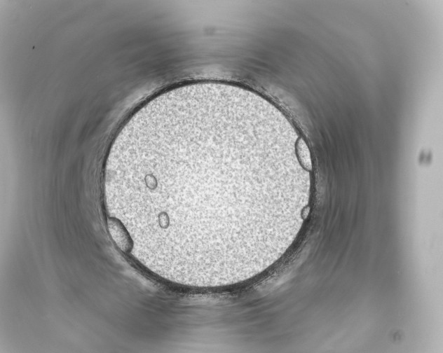 X0000093760625200711131149