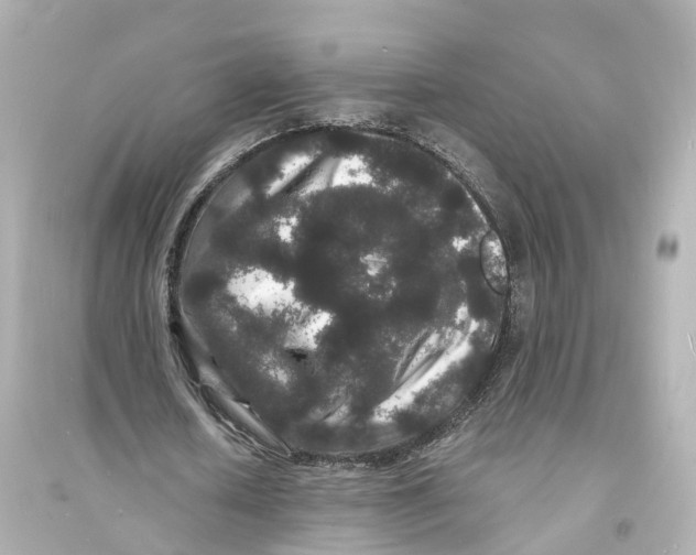 X0000093760626200711131149