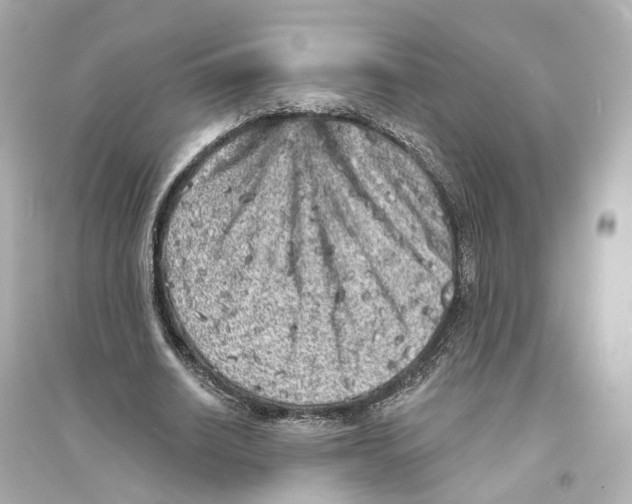 X0000093760630200711131149