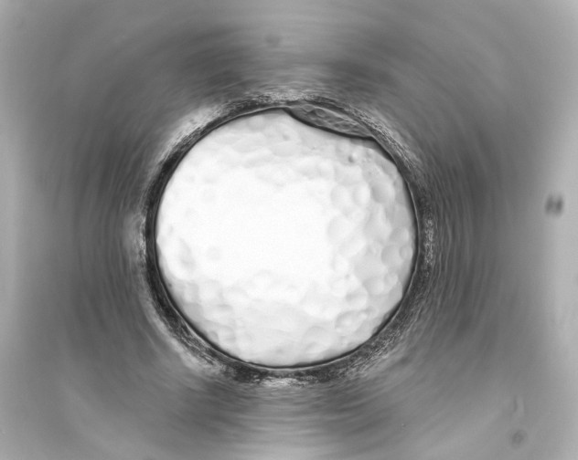 X0000093760634200711131149