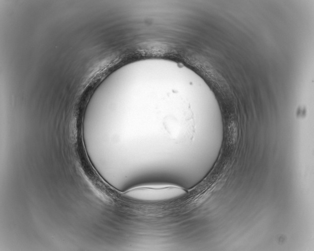 X0000093760638200711131149