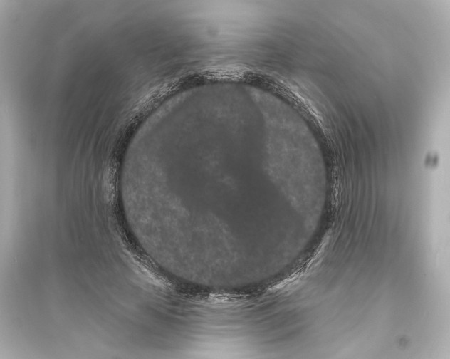 X0000093760641200711131149