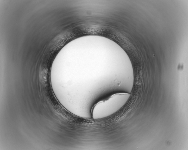 X0000093760646200711131149