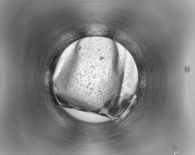 X0000093760647200711131149