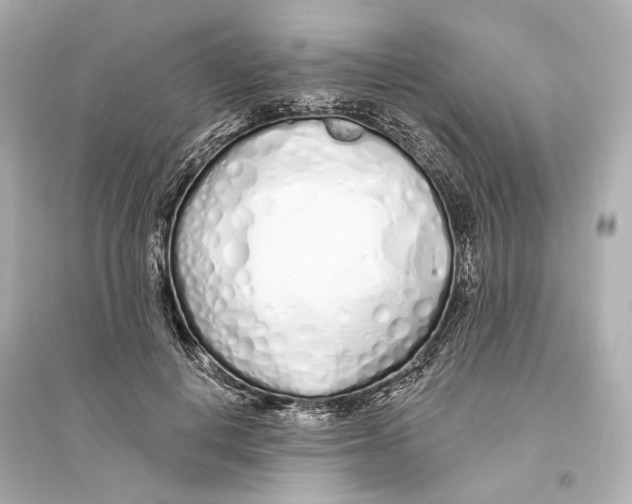 X0000093760648200711131149