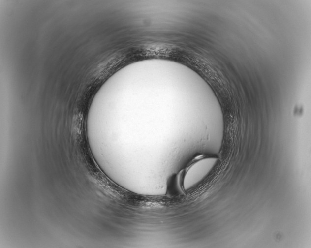 X0000093760649200711131149